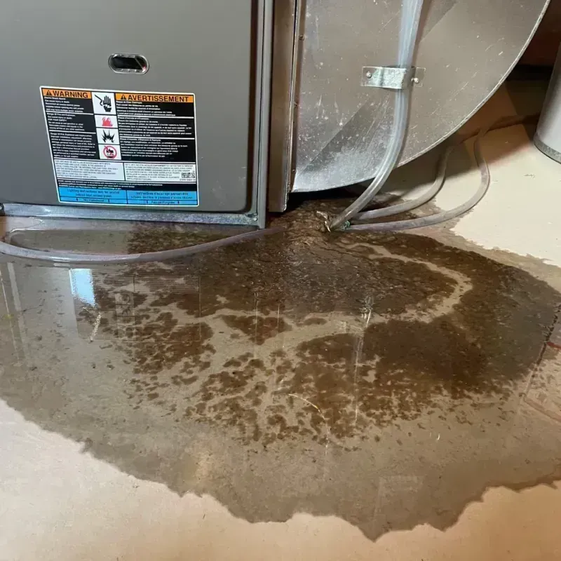 Appliance Leak Cleanup in Roanoke, IL